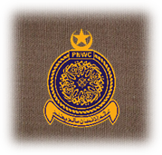 Pakistan Navy War College logo